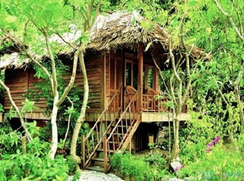 Bamboo cabin in Monkey Island Resort