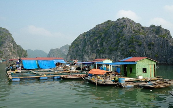  A Halong Bay’s fishing village