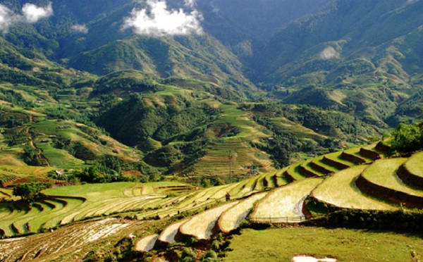 Rice terraces and wonderful mountainous scenery of Sapa