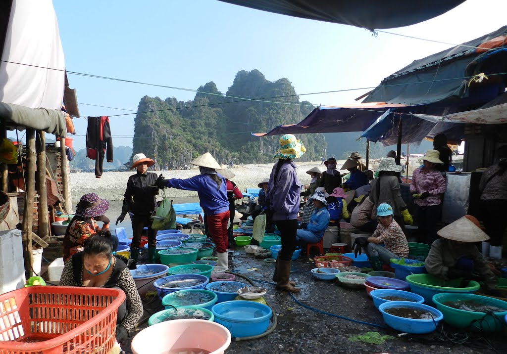 Halong fish market