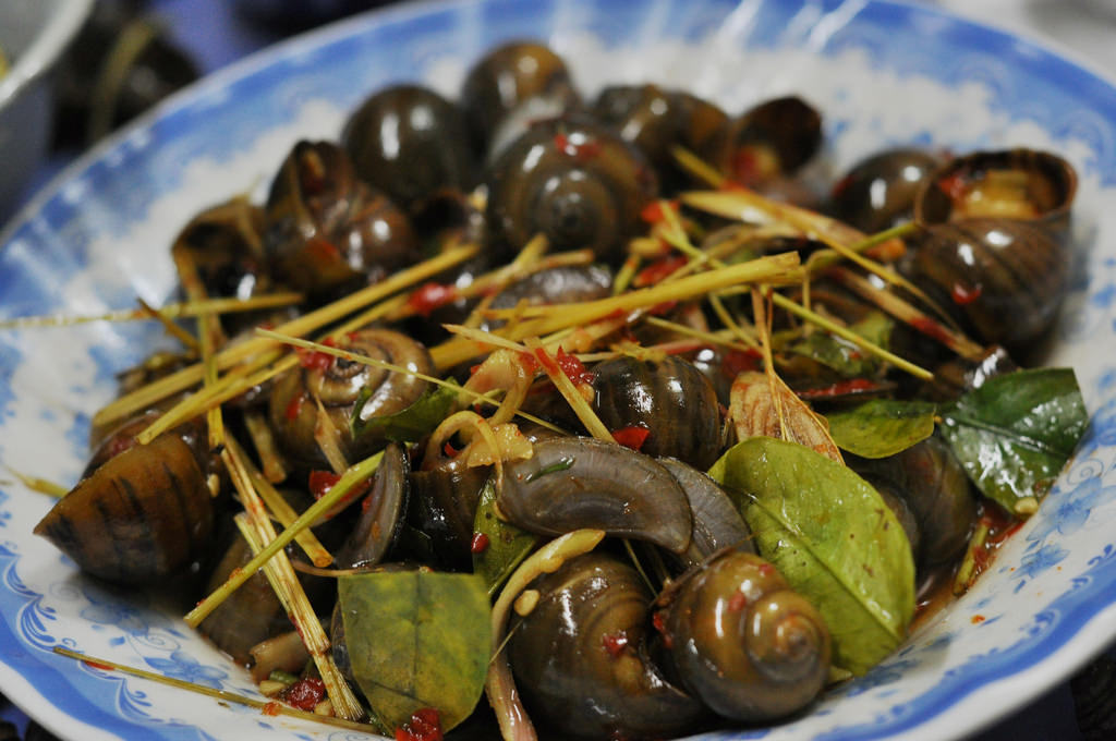Spicy fried sea snails are strongly favored in Halong 