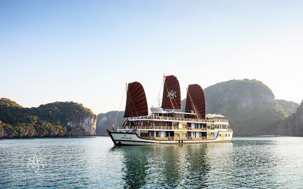 Best cruise in Halong Bay: A wonderful sight of the Orchid cruise