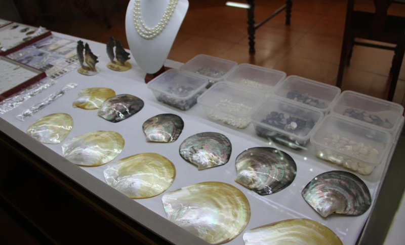 Seashell jewelry Halong Bay