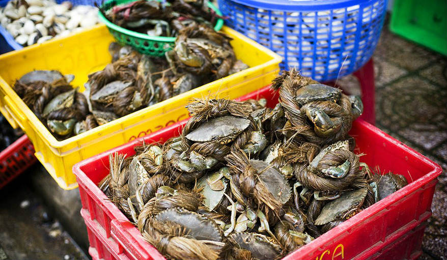 The market sells a bunch of seafood, from crabs, lobsters, clams, prawns, sea-snail and more 