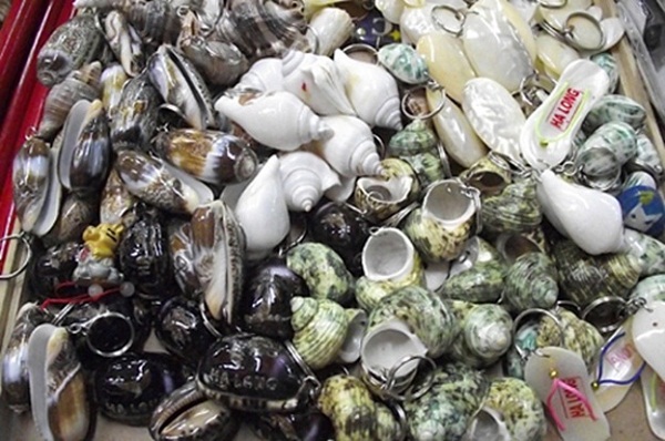 Souvenirs made from sea shells