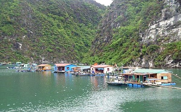 Ba Hang fishing village - a great tourist attraction in Halong