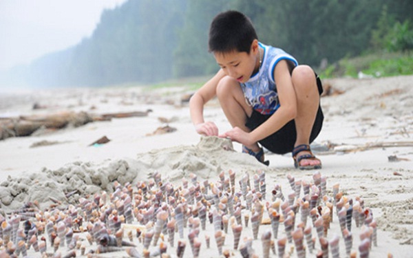 A kid is building his own sandy castle on Ngoc Vung Beach