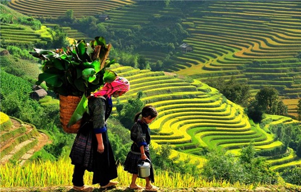 Things to do in Vietnam