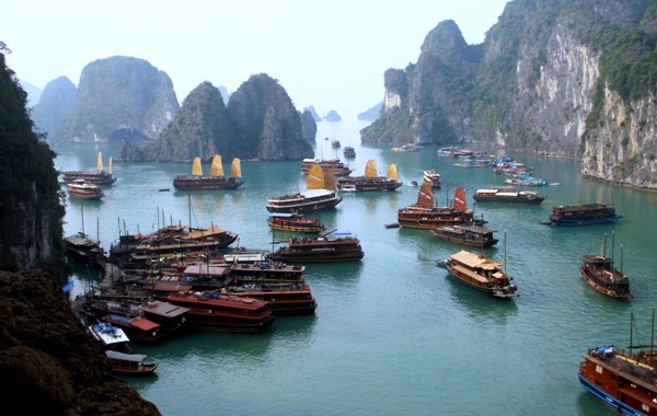 Discovery life in Halong Bay