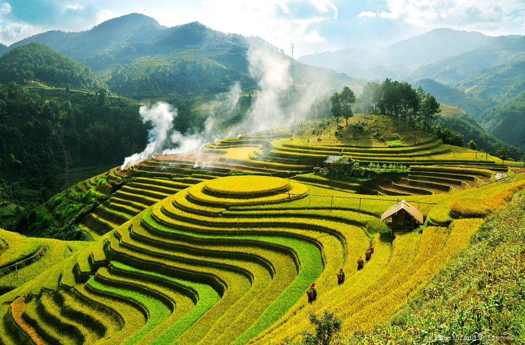 Mu Cang Chai