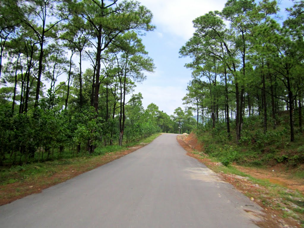 The romantic road which leads to Yen Trung lake