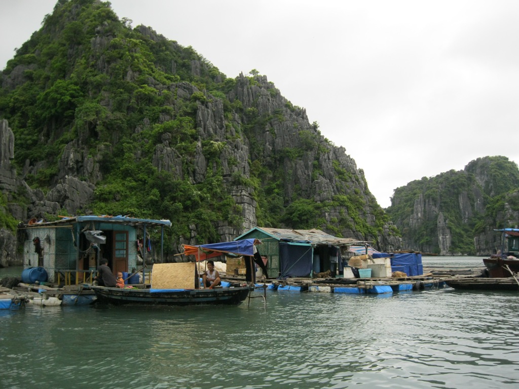 A simple life of locals in Ba Hang floating village