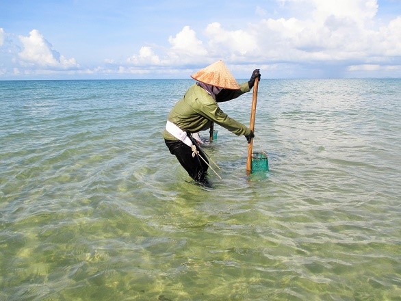 While men go fishing offshore, women catch shells near shore to support their families