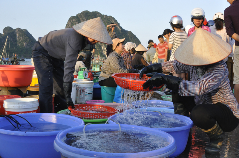Fish market in the early morning with various kinds of seafood