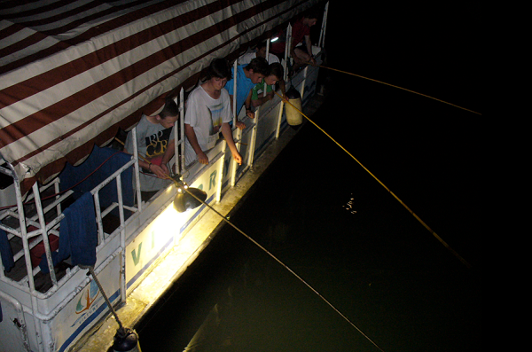 Night squids fishing