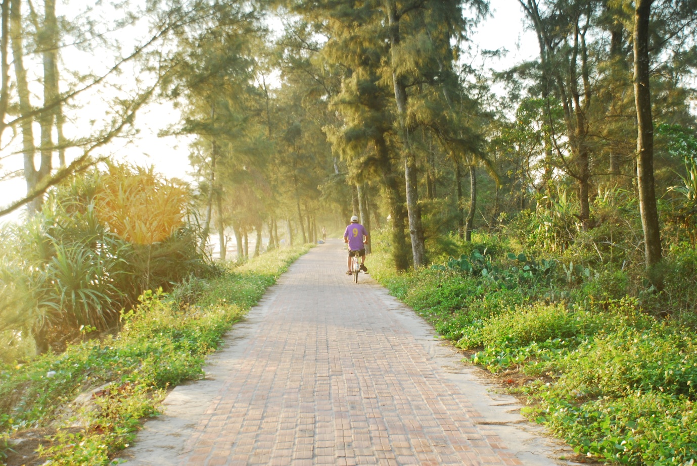 Ride a bike on the romantic road of love of Co To