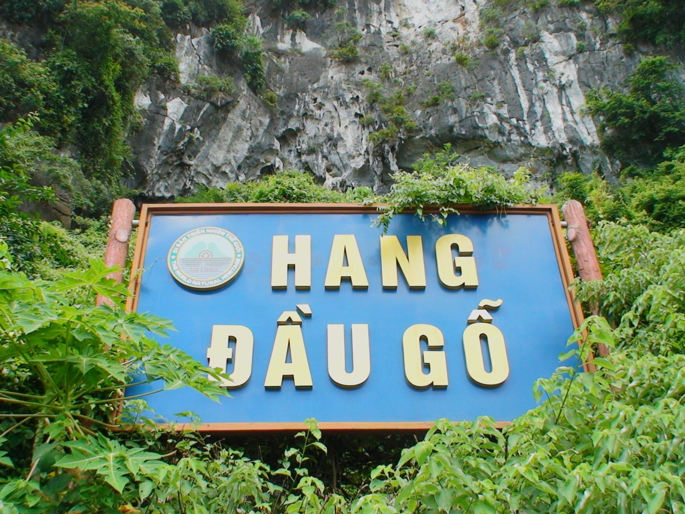Dau Go Cave area