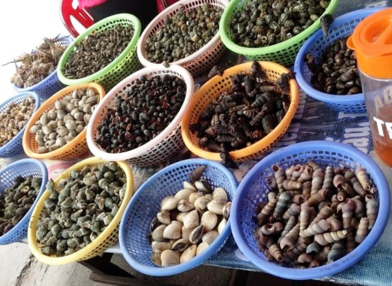 You will have lots of choices for sea snails in Halong 