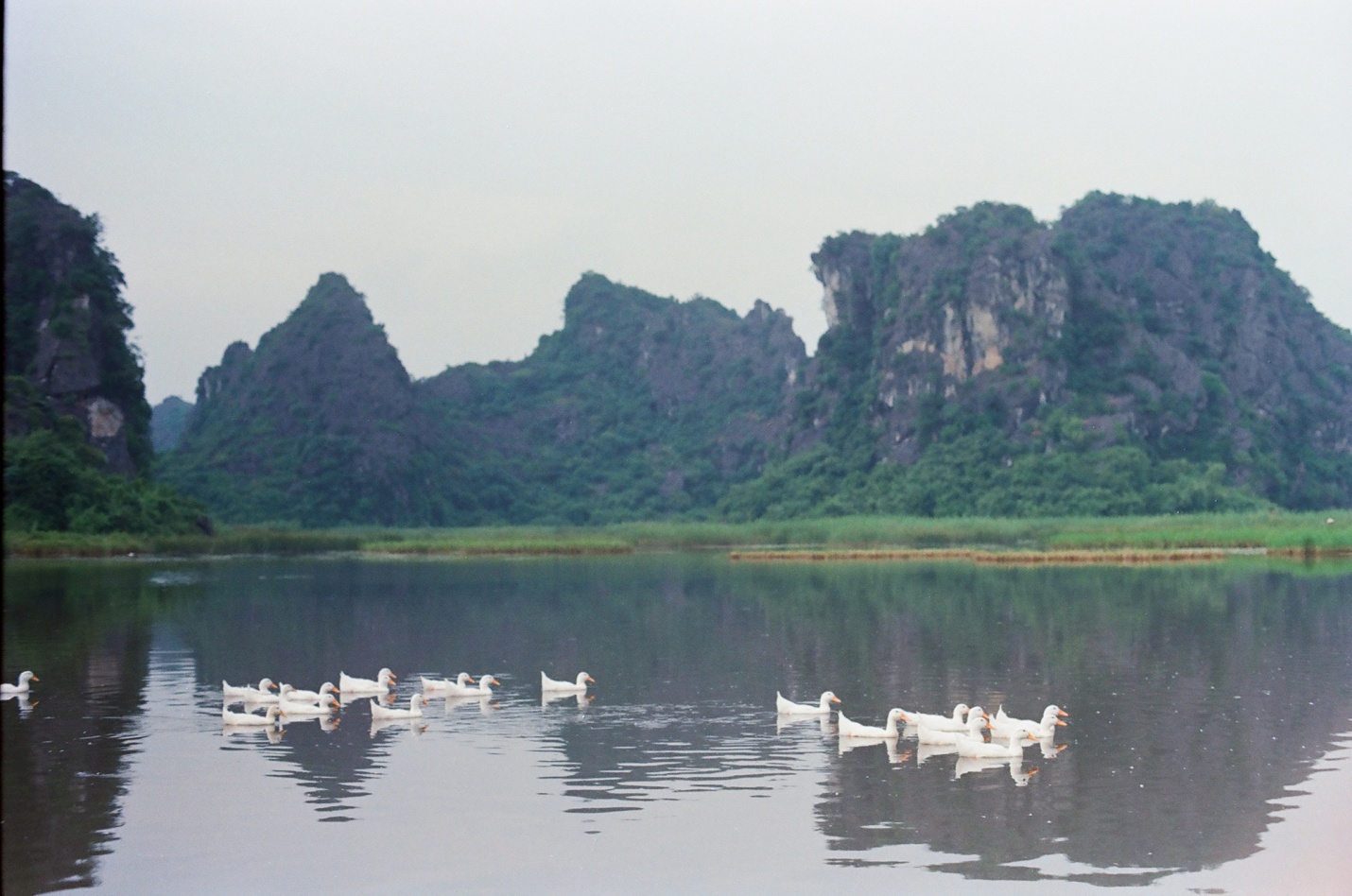 The peaceful beauty of Van Long lagoon on autumn 