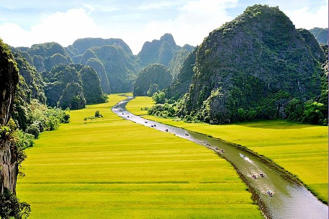 Impressive rice paddy field