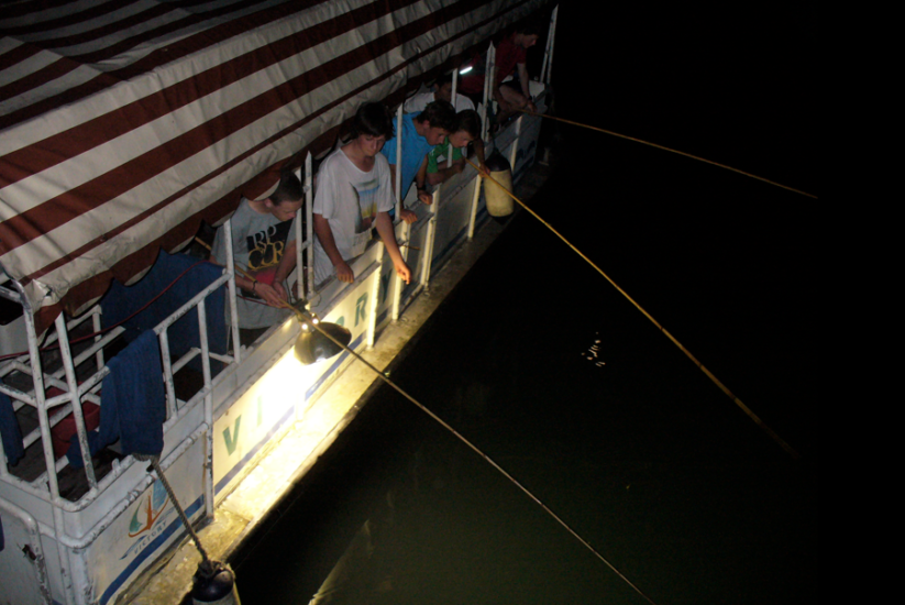 Squid fishing is experienced at night with lights hanging on the side of boats to draw the squids