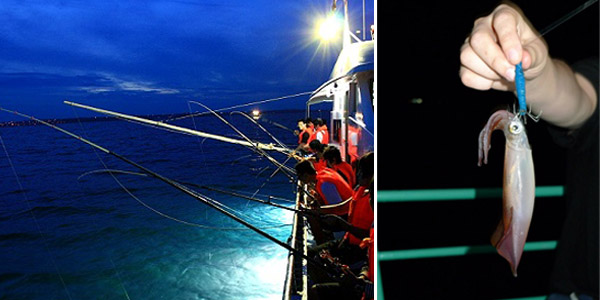 Catching squids at night on the cruise in Halong Bay