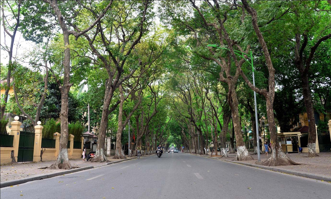 Can you imagine how peaceful Hanoi streets are on the first day of the New Year