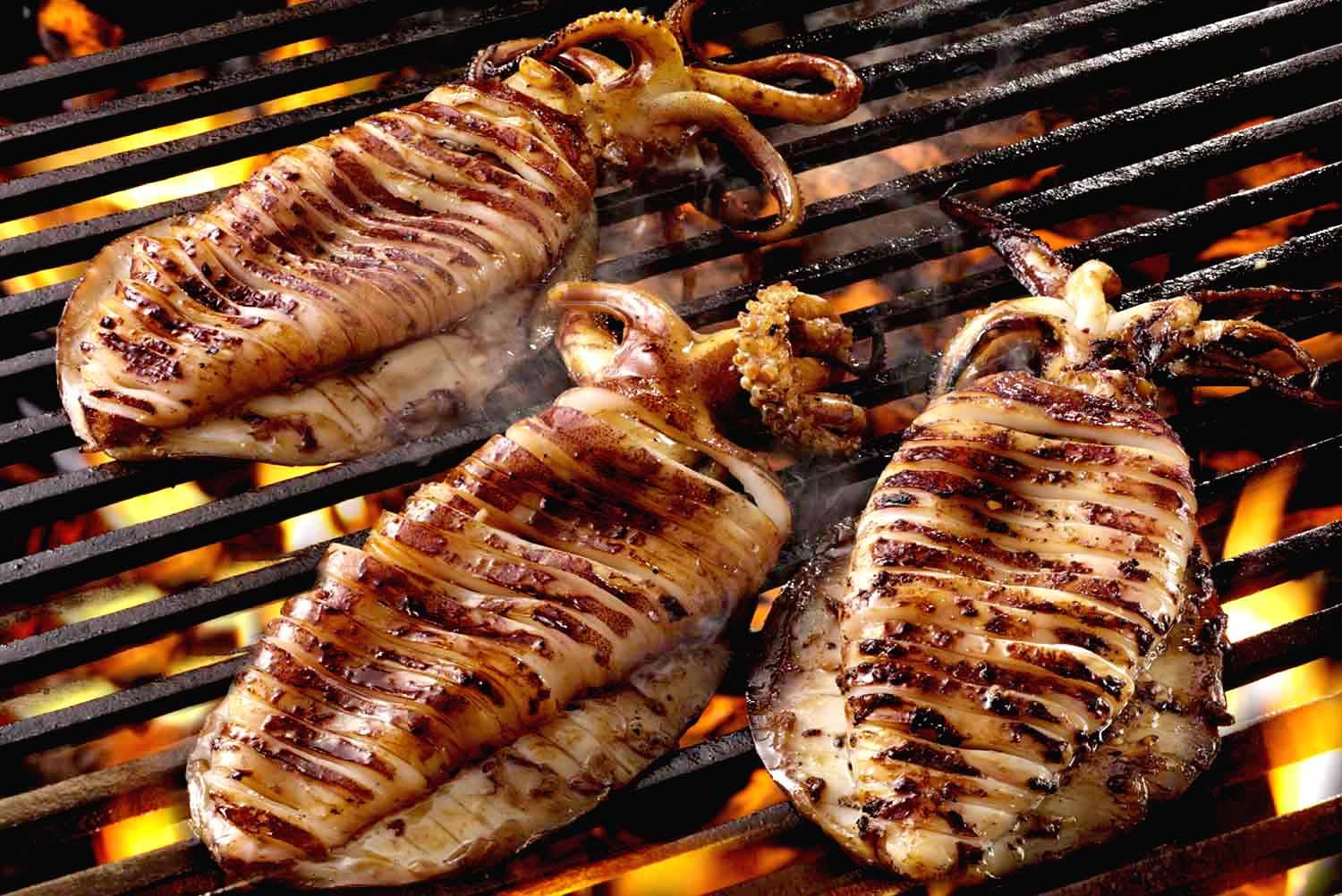 Delicious grilled squid for BBQ meal on the Bay