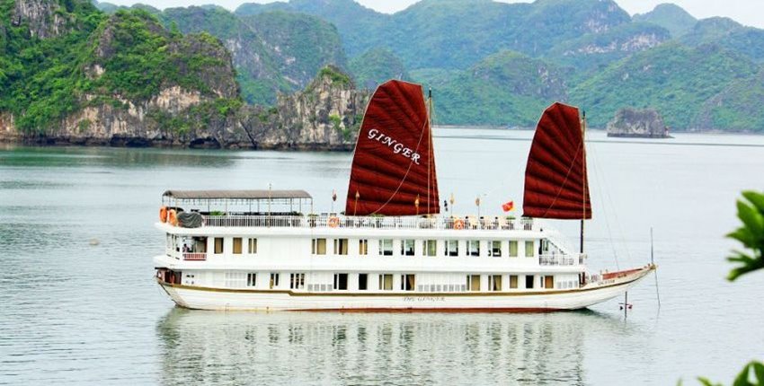 Ginger cruise