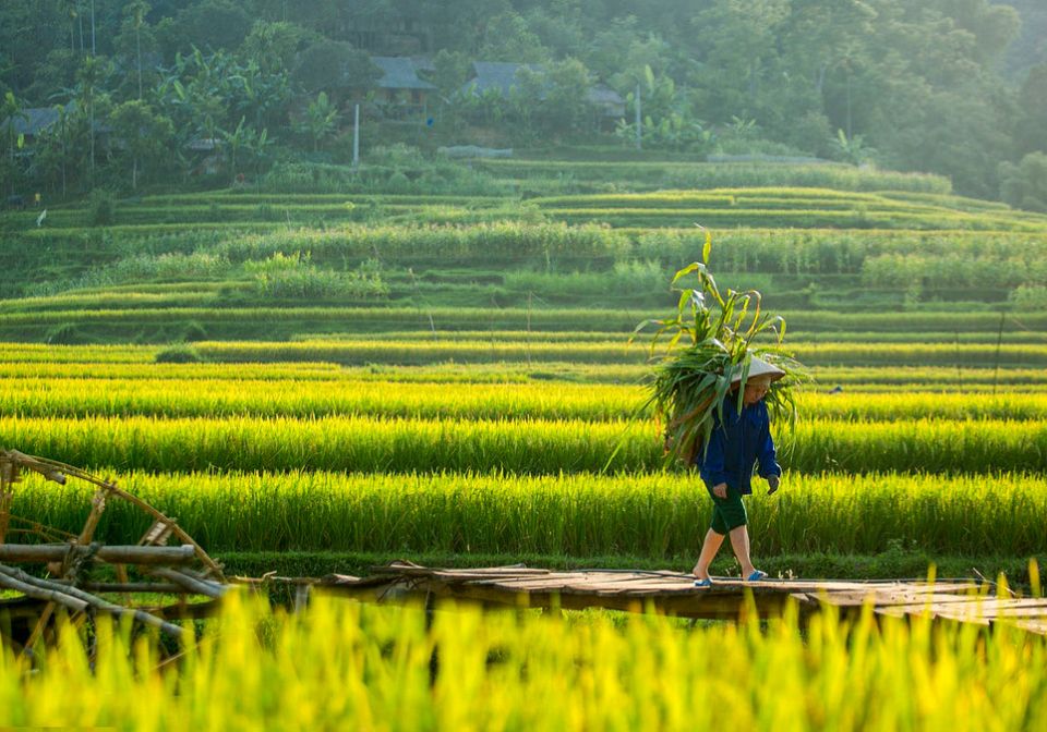 Explore Northern Vietnam 7 Days