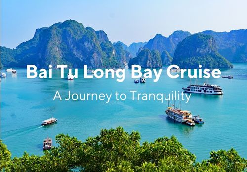 Bai Tu Long Bay Cruise – A Journey to Tranquility