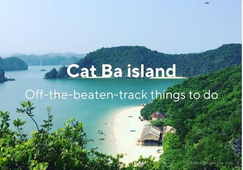 Off-the-beaten-track things to do Cat Ba island & Travel tips 2024