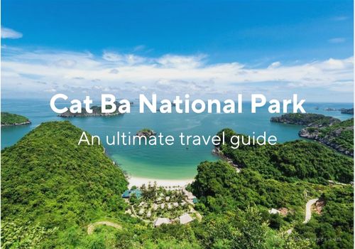 Cat Ba National Park: An Ultimate Travel Guide