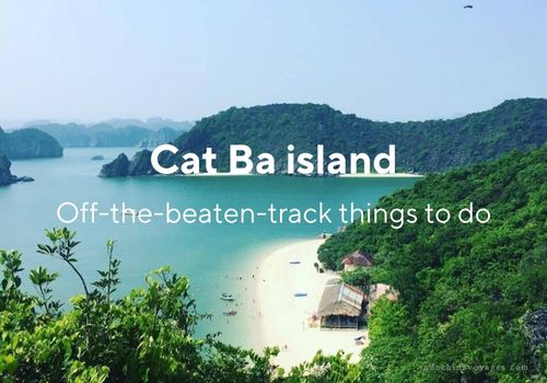 Off-the-beaten-track things to do Cat Ba island & Travel tips 2024