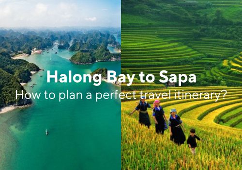 Halong Bay to sapa thumbnails