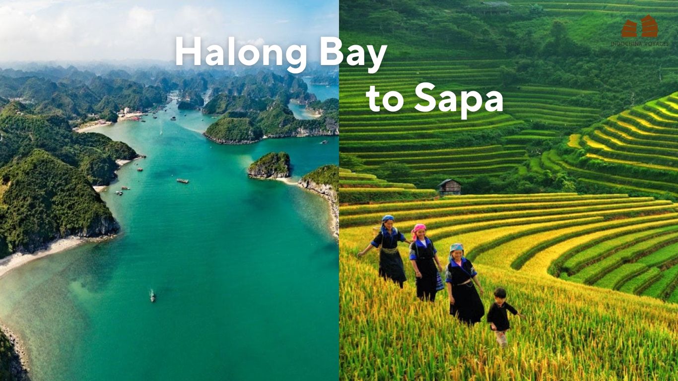 Halong Bay to Sapa