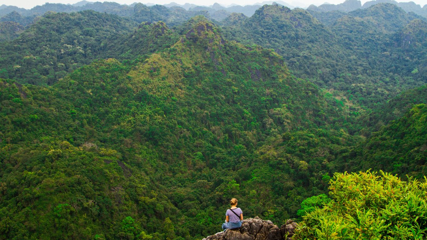 Cat Ba National Park 