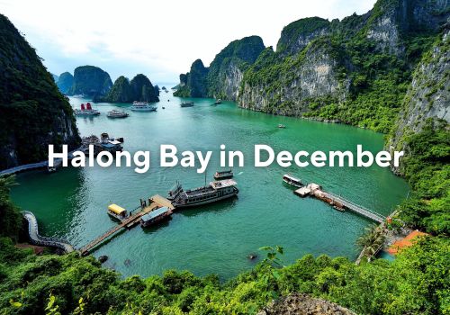 Halong Bay in december