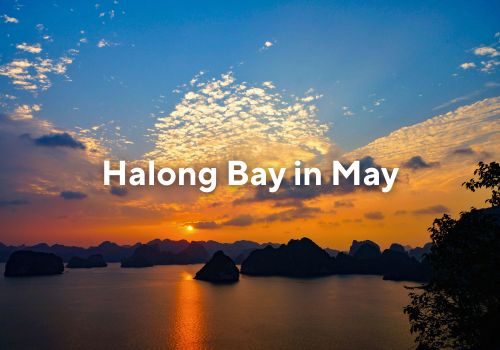 Discover Halong Bay in May: Weather, Activities, and Travel Tips